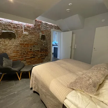 Saeynaetsalo דירה