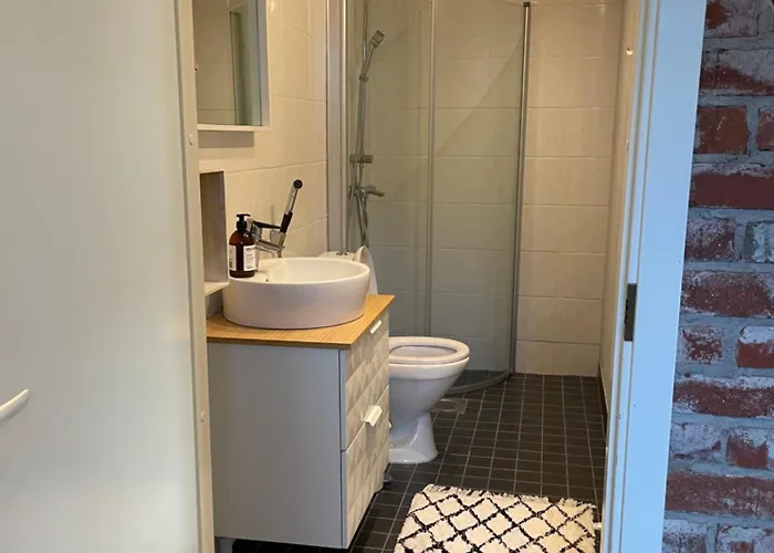 Saeynaetsalo Lejlighed Saynatsalo